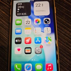 Apple iPhone SE 本体