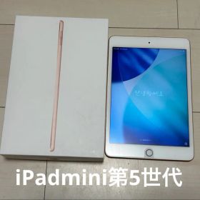 iPad mini 第5世代 64G WiFi ゴールド 動作確認済 初期化済
