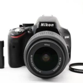 S数:10421回NikonD5100 レンズセット #1995