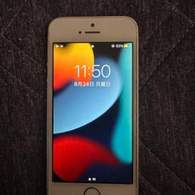 Apple iPhone SE 本体 シルバー 64GB SIMフリー カメラ⭕️