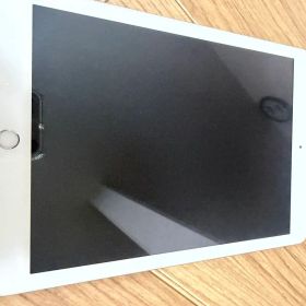 Apple iPad 本体 第6世代
