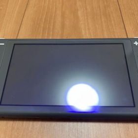 動作確認済)Nintendo Switch Lite 本体 グレー