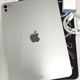 おまけ付き 新品同様 バッテリー100% 11インチ iPad Pro (M5) 256GB Wi-Fiモデル シルバー