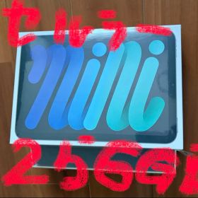 iPad mini6 Cellular 256GB space grayおまけ付