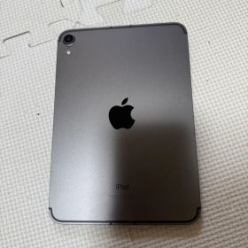 iPad mini 6 256GB Cellular SIMフリー ジャンク