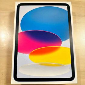 Apple iPad A16 Wi-Fi 128GB Blue 本体
