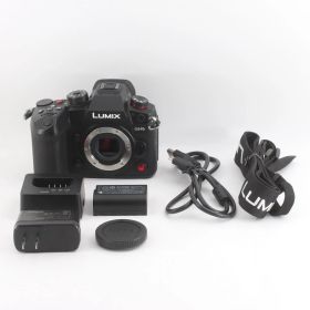 Panasonic パナソニック GH6 ボディ DC-GH6