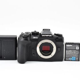 ★美品★オリンパス OLYMPUS OM-D E-M1 Mark II ボディ ♯2077