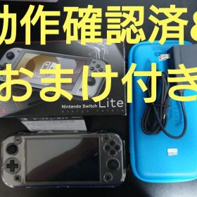 Nintendo Switch Lite ディアルガ パルキア ポケモン
