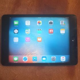 Apple iPad mini 本体
