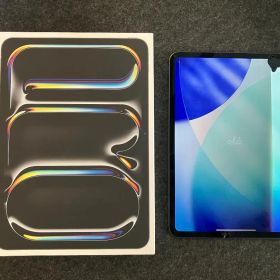 Apple 11インチ iPad Pro (M4) 256GB ジャンク品