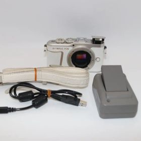 ☆美品【OLYMPUS】PEN E-PL10 ボディ ショット数5,100回程