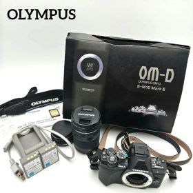 オリンパス ミラーレス一眼レフカメラ E-M10 Mark III 本体 レンズ