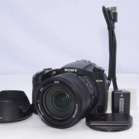 SONY DSC-RX10M3 デジタルカメラ 24-600mm F2.4-4 バッテリー等付 動作確認済