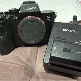 SONY α7SIII ILCE-7SM3 本体 ショット回数3639 α7s3