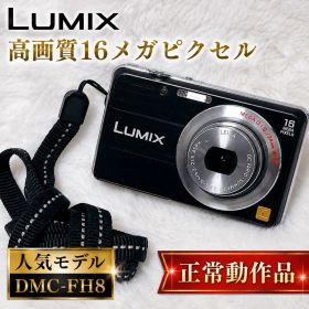【動作品】Panasonic LUMIX DMC-FH8 デジカメ ブラック 黒