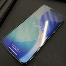 【256GB】Apple iPhone 16 Plus ティール SIMフリー 本体 【バッテリー最大容量90％】