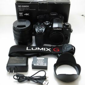【全品ポイント10倍！要エントリー】【期間限定セール】パナソニック Panasonic ミラーレス一眼（レンズキット） LUMIX DC-G99D