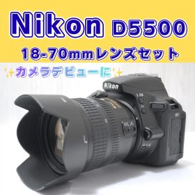 ✨カメラデビューに✨Nikon D5500 Wi-Fi画像転送 すぐ使える 美品