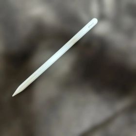 Apple Pencil 第2世代 (モデル: A2051) 純正品