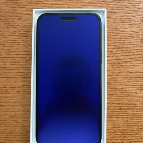 iPhone 15 Plus 付属品完備 ブラック 256GB SIMフリー