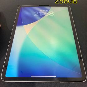 iPad Pro 11inch 1st ① 256GB
