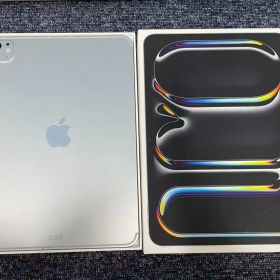 極美品 Apple 11インチiPad Pro Wi-Fi + Cellular モデル M5 1TB シルバー ME2V4J/A