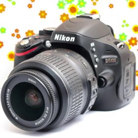 【スマホに転送】☆ ニコン Nikon D5100☆人気一眼レフ☆すぐ使える
