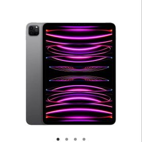 Apple pencil付き iPad Pro 第4世代スペースグレイ256GB
