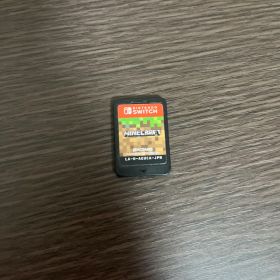 Nintendo Switch マイクラソフト