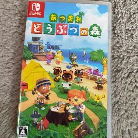 Nintendo Switch あつまれ どうぶつの森 - 動作確認済み