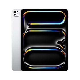 iPad Pro 13インチ M4[256GB] Wi-Fiモデル シルバー【安心保証】