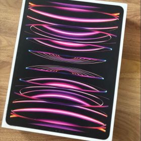 iPad Pro 12.9 第6世代 128GB スペースグレー 付属品あり