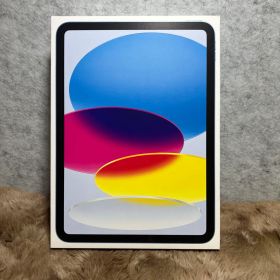 Apple 11インチiPad 128GB ブルーWi-Fi +Cellular