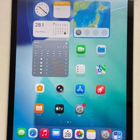 Apple iPad 第9世代 64GB Wi-Fi+Cellular MK493J/A シルバー 動作品