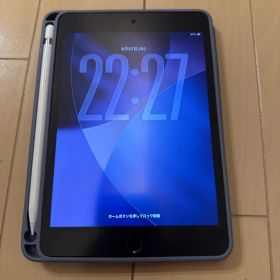 iPad mini 第5世代 256GB セルラーモデル【美品】純正ペン,箱付き
