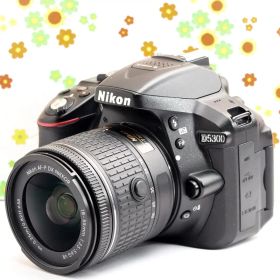 ニコン Nikon D5300 ☆初心者歓迎☆軽量バリアングル☆高機能一眼レフ！