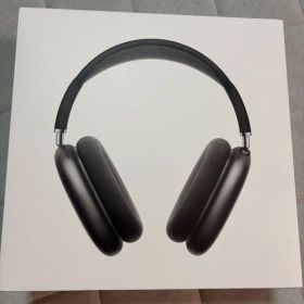 Apple AirPods Max Space Gray 本体