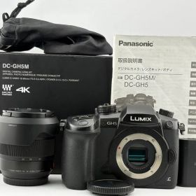★極上★パナソニック Panasonic LUMIX DC-GH5Mレンズキット
