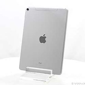 〔中古品〕 iPad Pro 10.5インチ 512GB スペースグレイ MPME2J／A SoftBank ［10.5インチ液晶／A10X-Fusion］〔中古品〕 iPad Pro 10.5インチ 512GB スペースグレイ MPME2J／A SoftBank ［10.5インチ液晶／A10X-Fusion］