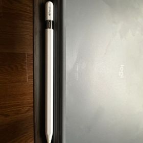 Apple Pencil USB -C 本体