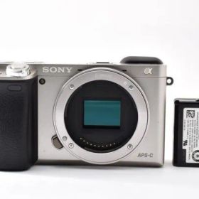 ソニー SONY α6000 ボディ#9989