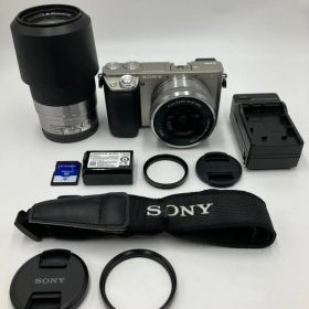 【動作確認済】SONY α6000 ダブルレンズキット