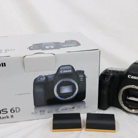 【返品保証】 【シャッター29855回】キャノン Canon EOS 6D Mark II デジタル一眼 e17842