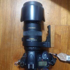 SIGMA 50-500mm 1:4.5-6.3 APO HSM ＋D7000