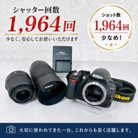 Nikon D3100 ダブルズームキット ショット数1964！ 819007