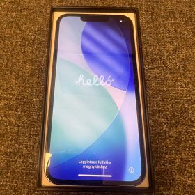 Apple iPhone13pro本体 512GB SIMフリー