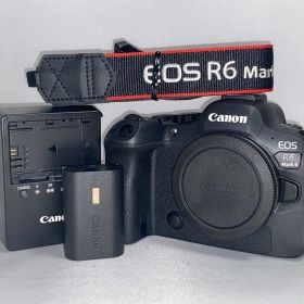 【美品‼︎9324回‼︎】Canon eos R6 mark2 ii ボディ 本体