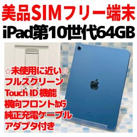 美品SIMフリー iPad 第10世代 本体 64GB Cellular