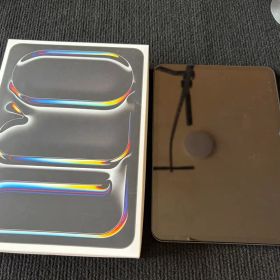 極美品iPad Pro m5 512GB 11インチ AppleCare+付き
